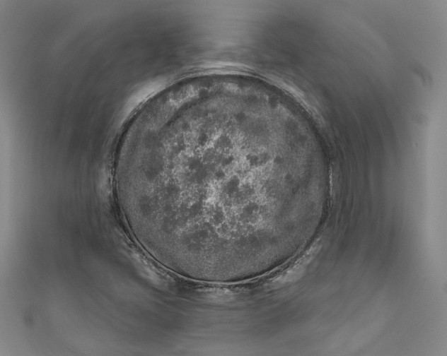 X0000110861405200907021406