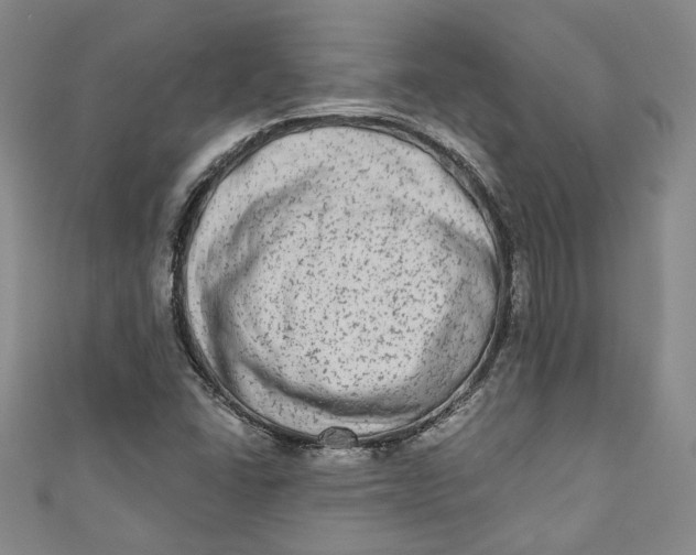 X0000110861406200907021406