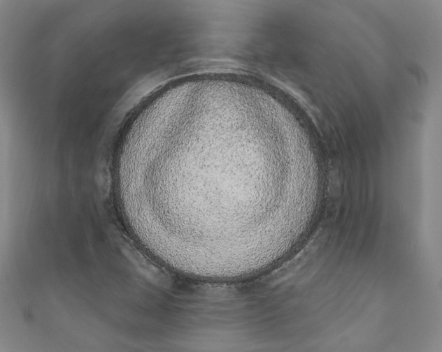 X0000110861407200907021406