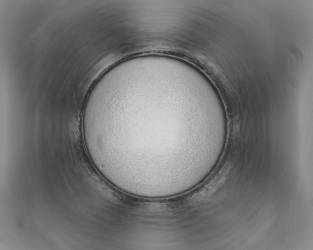 X0000110861409200907021406