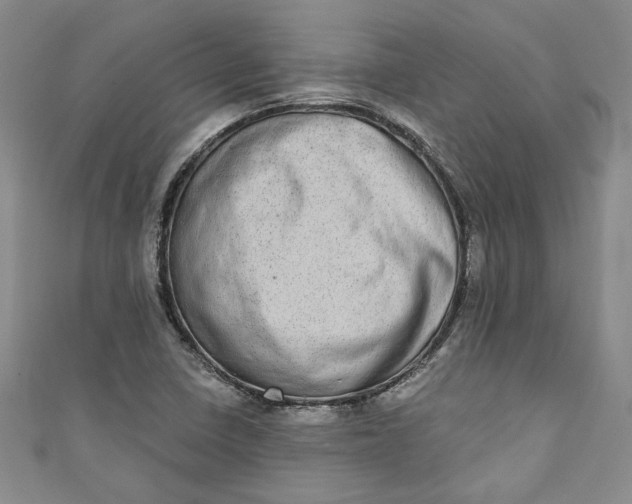 X0000110861410200907021406