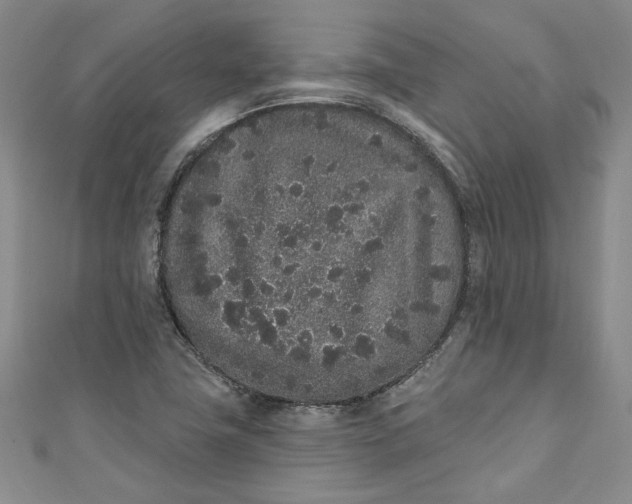 X0000110861411200907021406