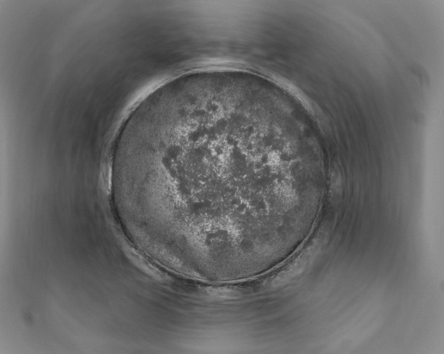 X0000110861413200907021406