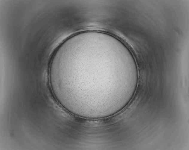 X0000110861415200907021406