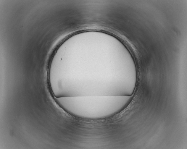 X0000110861416200907021406