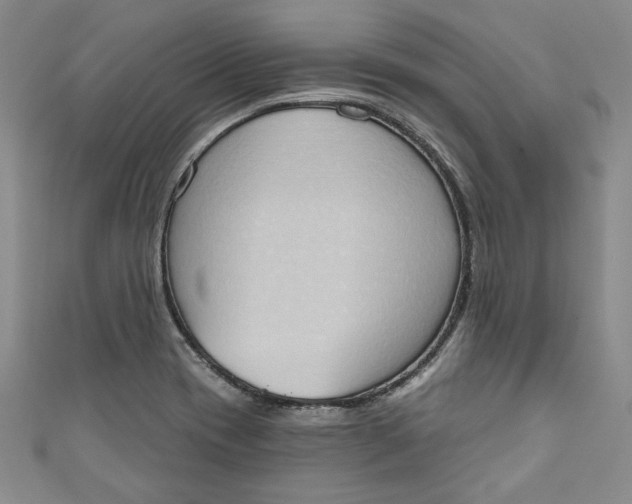 X0000110861417200907021406