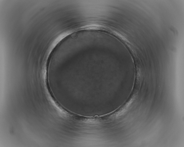 X0000110861418200907021406