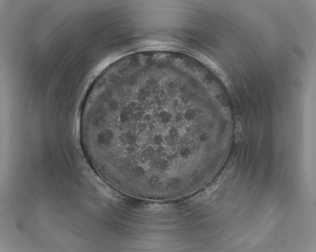 X0000110861419200907021406