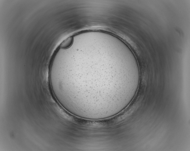 X0000110861420200907021406