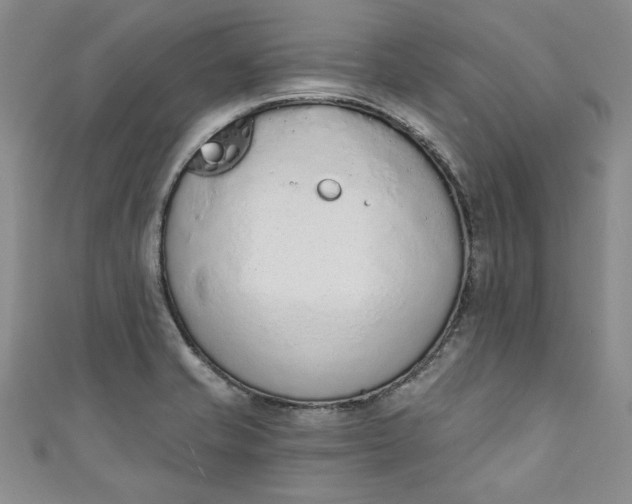 X0000110861421200907021406