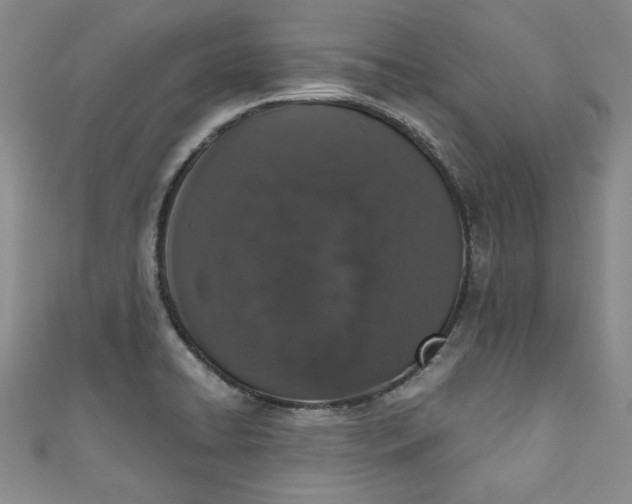 X0000110861422200907021406