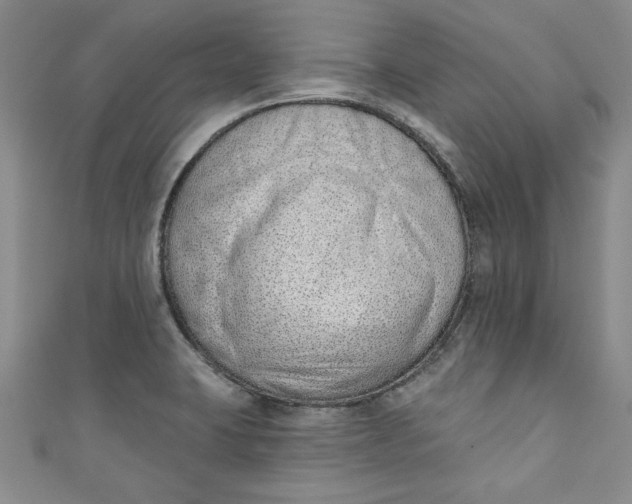 X0000110861423200907021406