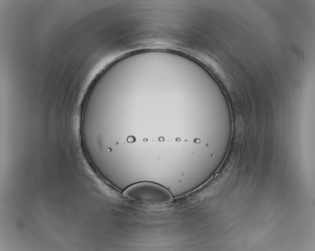 X0000110861424200907021406