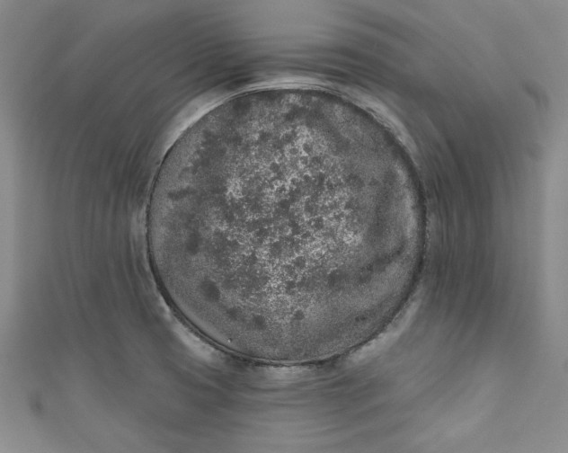 X0000110861425200907021406