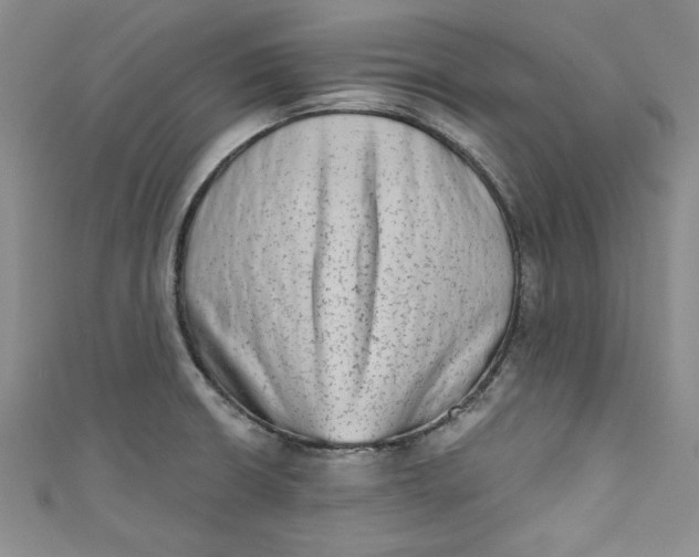 X0000110861426200907021406