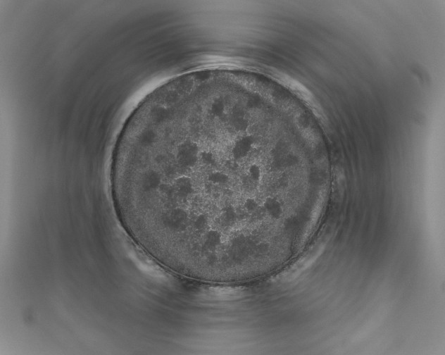 X0000110861427200907021406