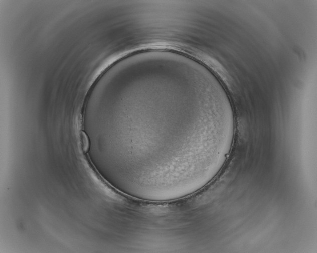 X0000110861428200907021406