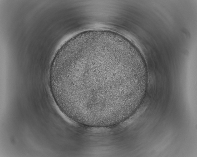 X0000110861429200907021406