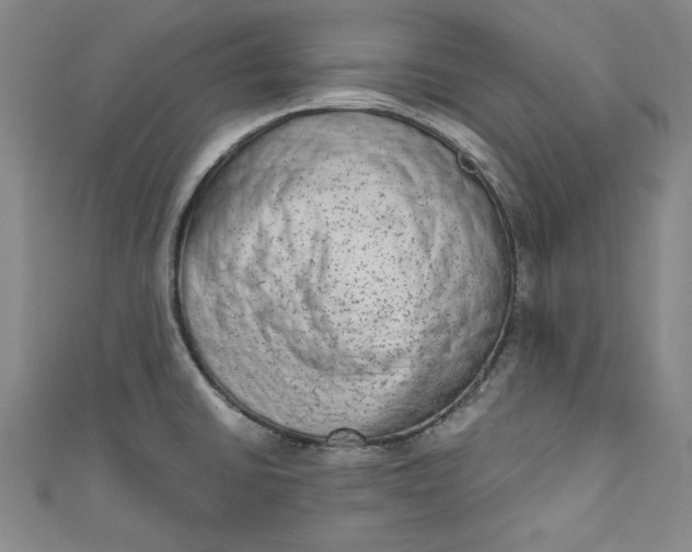 X0000110861430200907021406