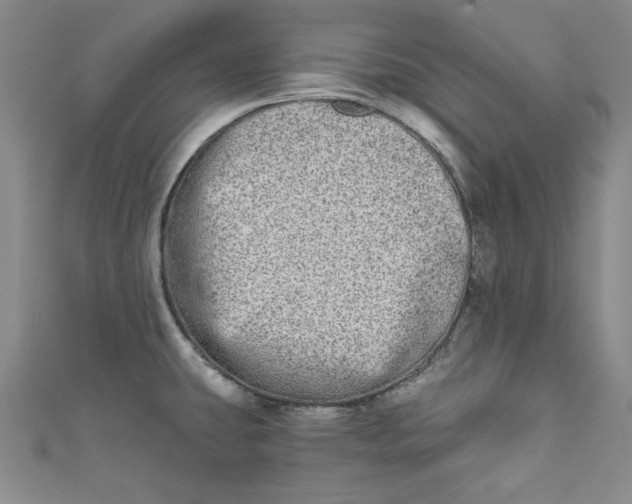 X0000110861431200907021406