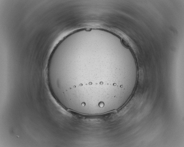 X0000110861432200907021406