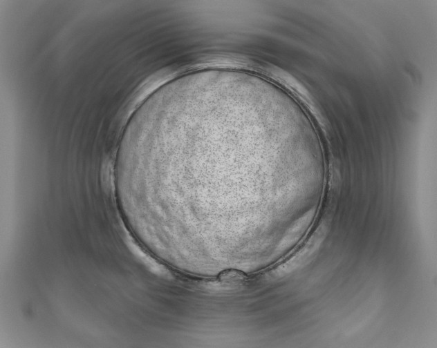 X0000110861433200907021407