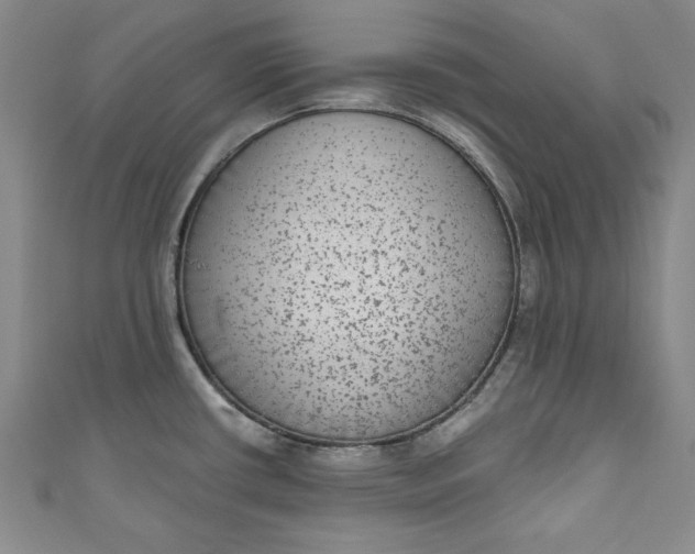 X0000110861434200907021407