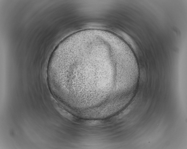 X0000110861435200907021407