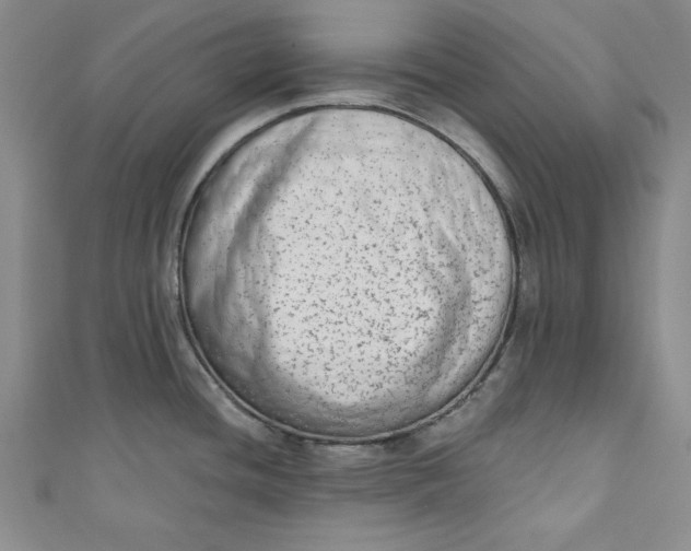 X0000110861436200907021407