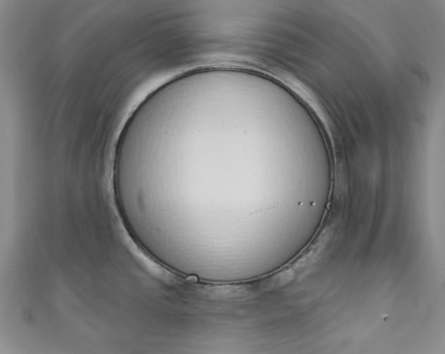 X0000110861437200907021407