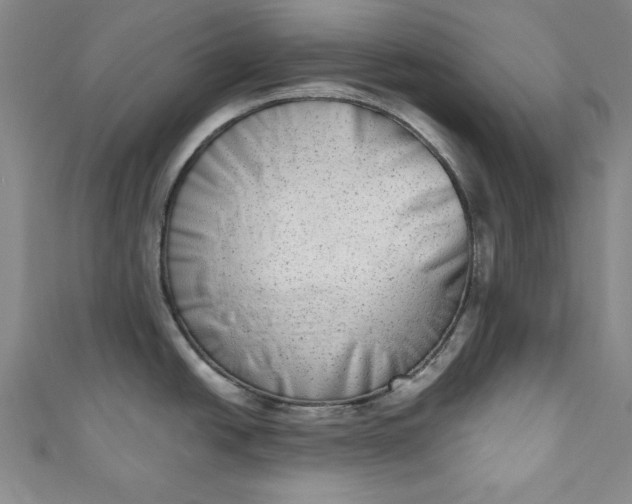 X0000110861438200907021407