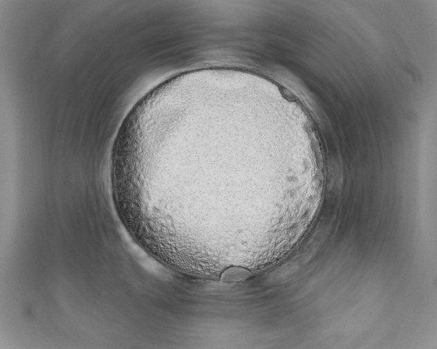 X0000110861439200907021407