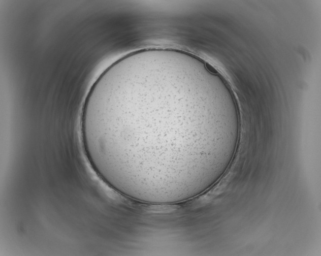 X0000110861440200907021407