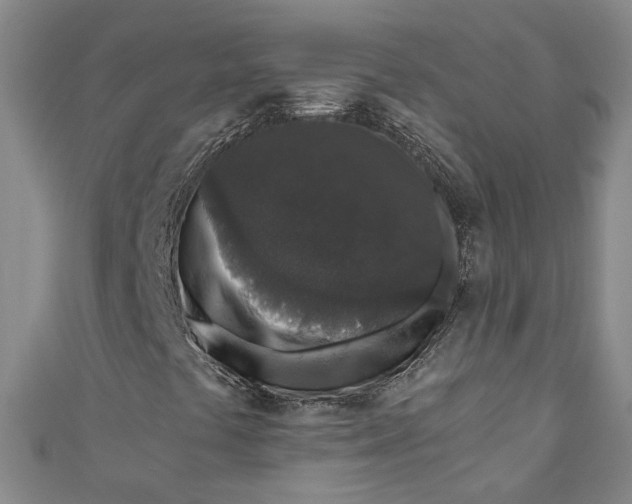 X0000110861441200907021406