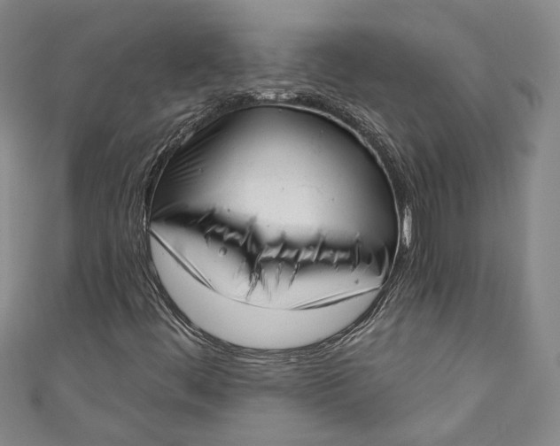 X0000110861444200907021406