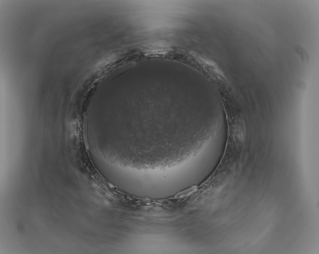 X0000110861445200907021406