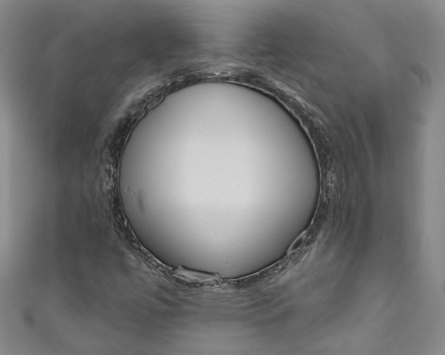 X0000110861447200907021406