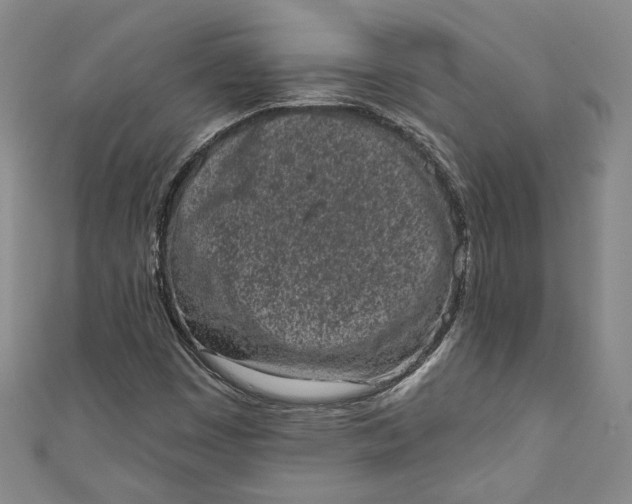 X0000110861449200907021406