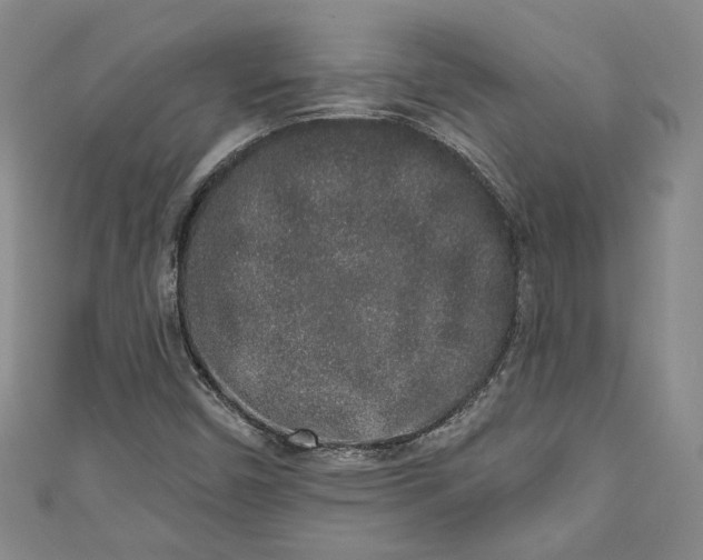 X0000110861450200907021406