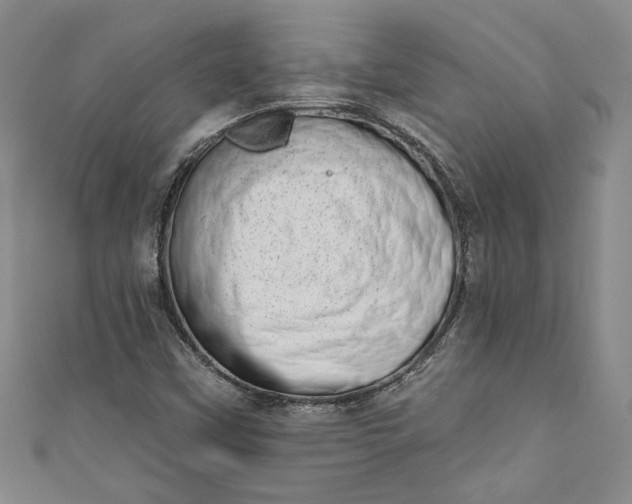 X0000110861451200907021406