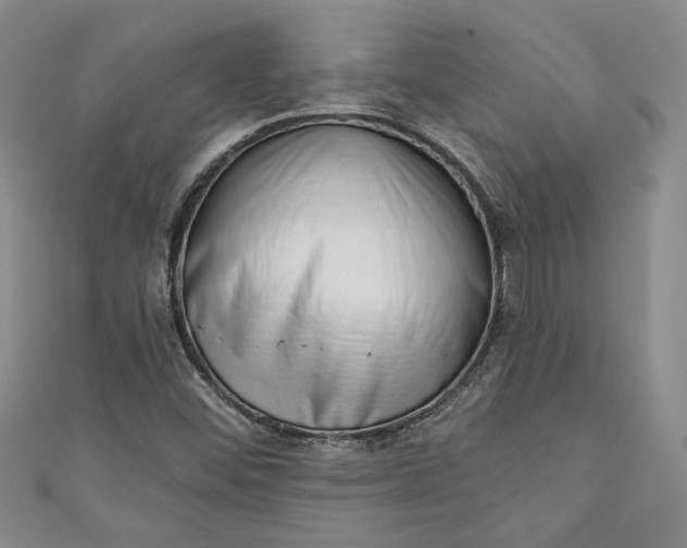 X0000110861452200907021406