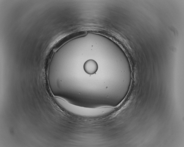 X0000110861453200907021406