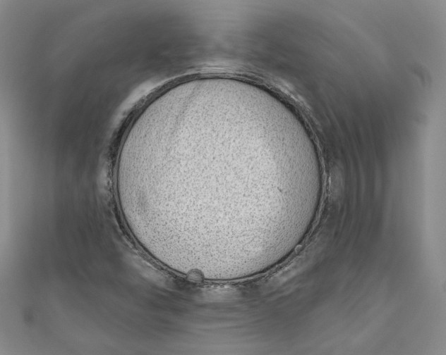 X0000110861454200907021406