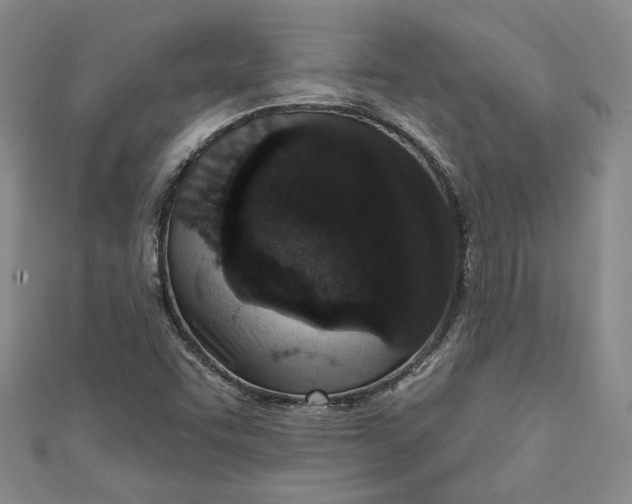 X0000110861455200907021406