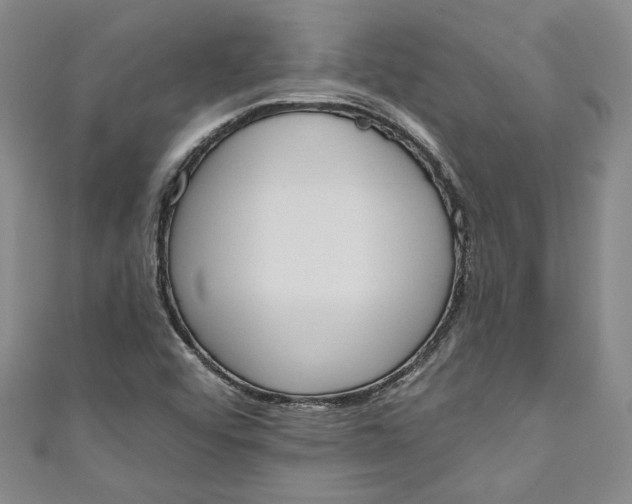 X0000110861456200907021406