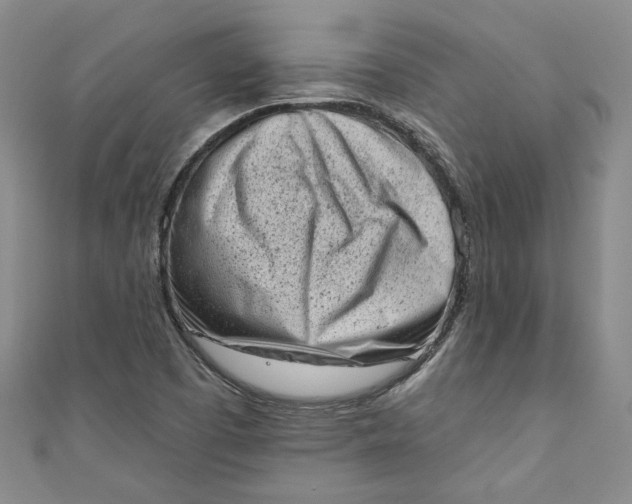 X0000110861457200907021406