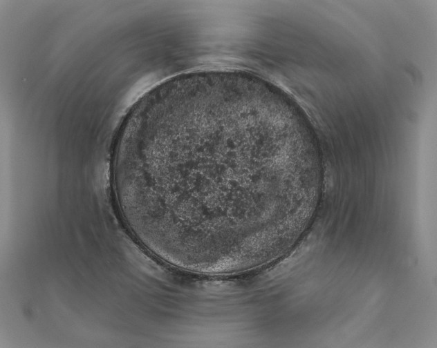 X0000110861459200907021406