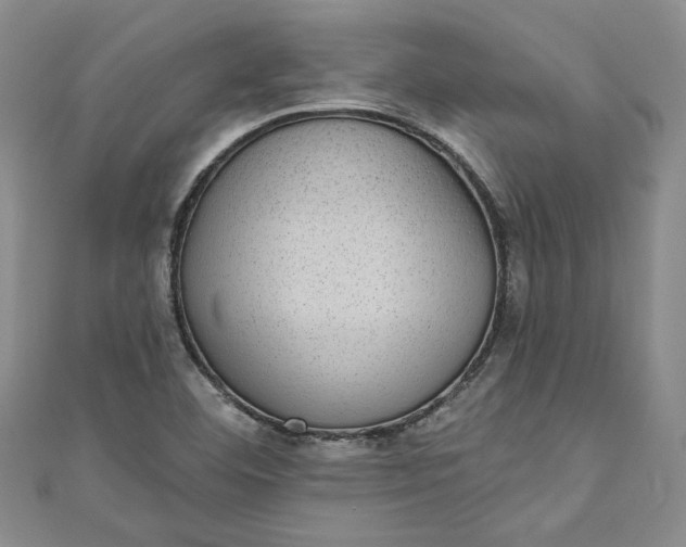 X0000110861460200907021406