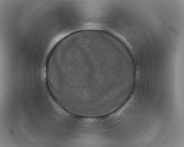 X0000110861461200907021406