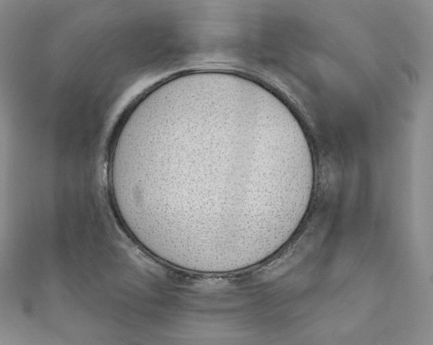 X0000110861462200907021406